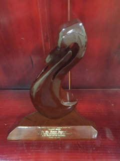 Pelican-Award-rotated